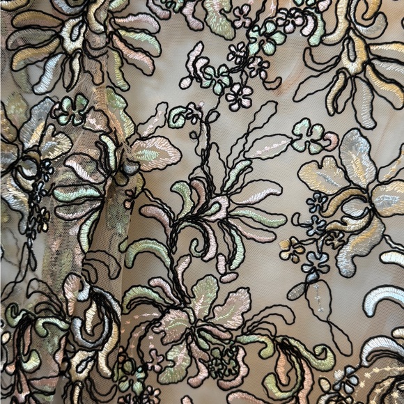 Topshop Embroidered Sheer Floral Lace Blouse - Picture 12 of 12